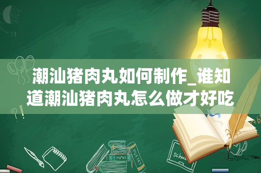 潮汕猪肉丸如何制作_谁知道潮汕猪肉丸怎么做才好吃？