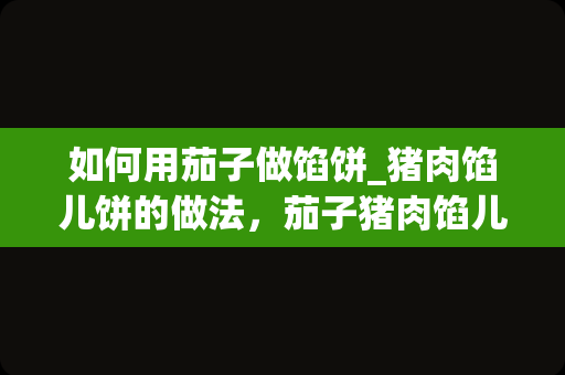 如何用茄子做馅饼_猪肉馅儿饼的做法，茄子猪肉馅儿饼怎么做好