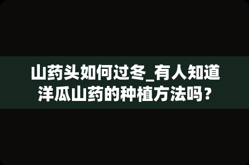 山药头如何过冬_有人知道洋瓜山药的种植方法吗？