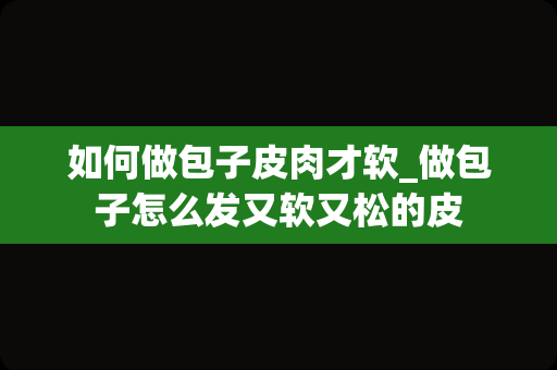 如何做包子皮肉才软_做包子怎么发又软又松的皮